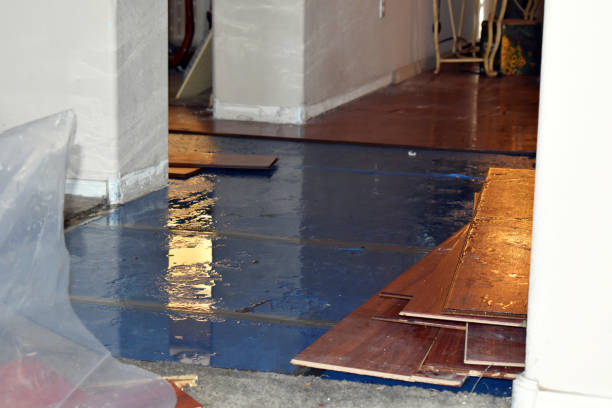 Professional Sewage Cleanup technician working in Cranston, RI